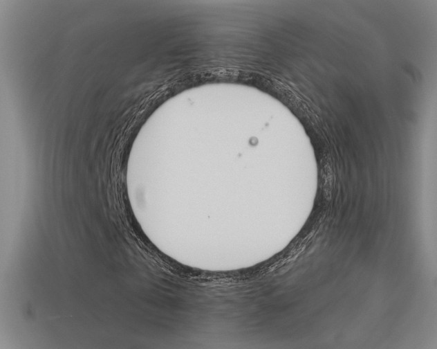 X0000113550769200909180959