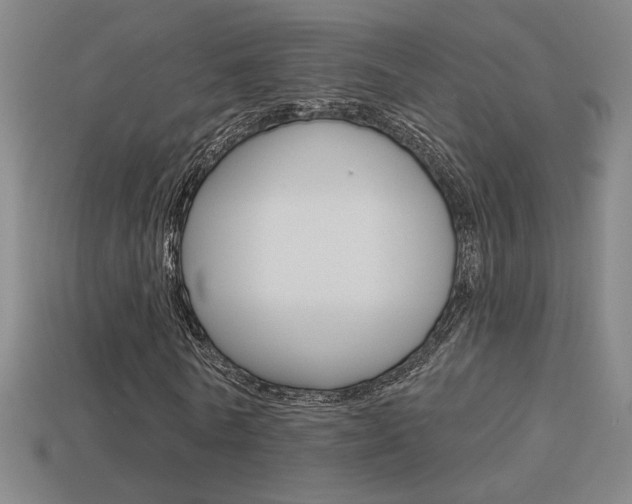X0000113550770200909180958