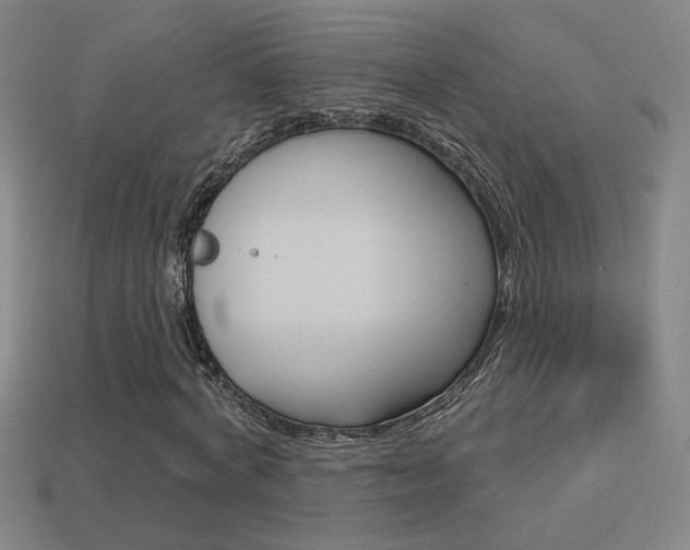 X0000113550772200909180958