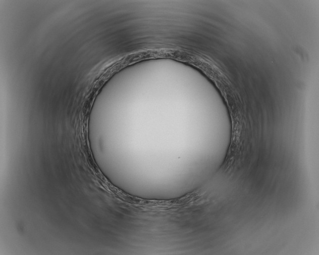 X0000113550773200909180958