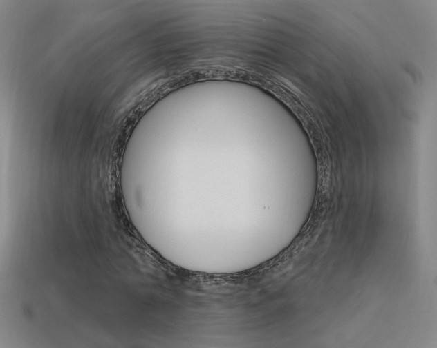 X0000113550774200909180958