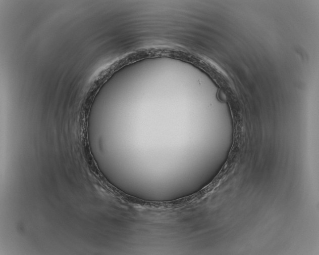 X0000113550775200909180958