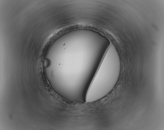X0000113550776200909180958