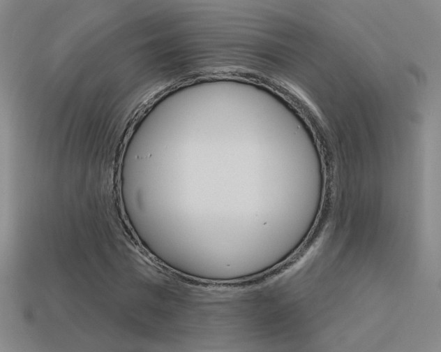 X0000113550777200909180958