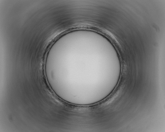 X0000113550778200909180958