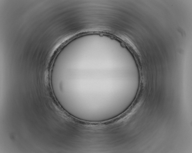 X0000113550781200909180958