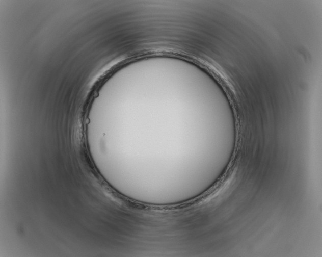 X0000113550782200909180958