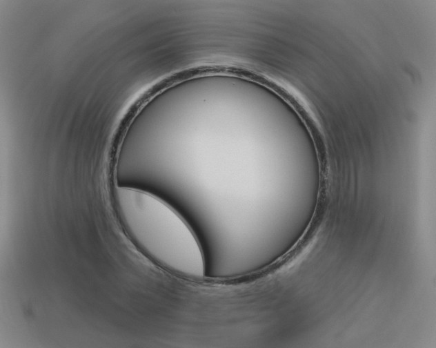 X0000113550783200909180958