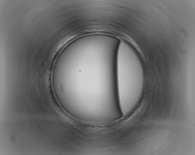 X0000113550786200909180958
