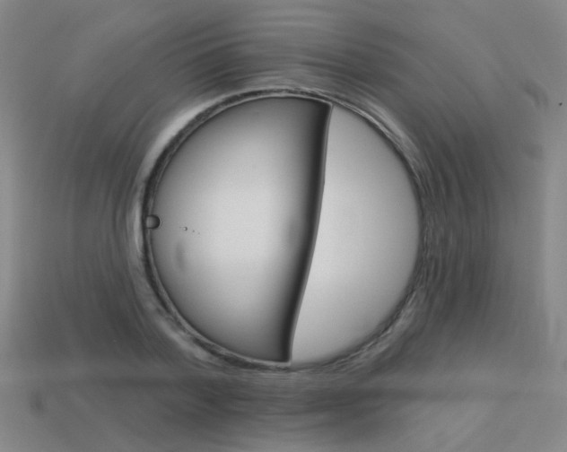 X0000113550788200909180958