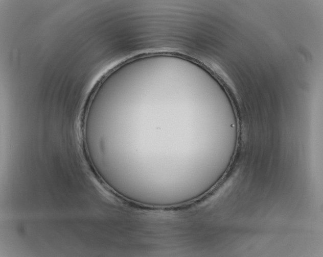 X0000113550789200909180958