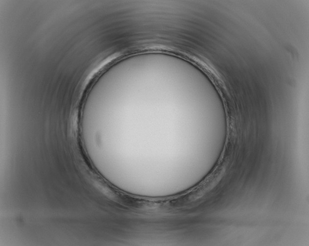 X0000113550790200909180958