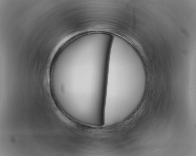 X0000113550792200909180958