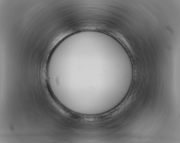 X0000113550794200909180958