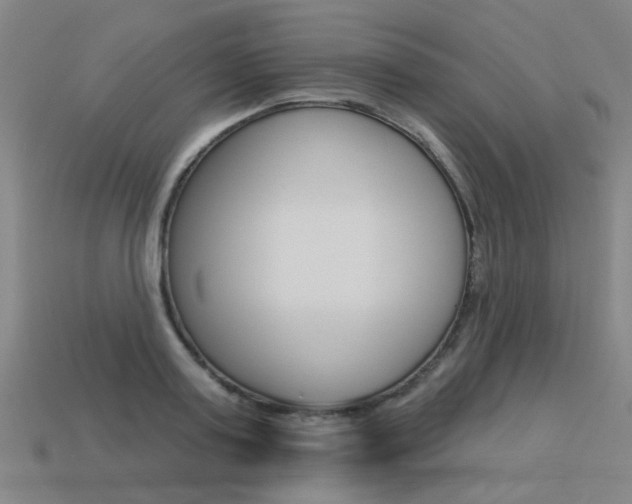 X0000113550795200909180958