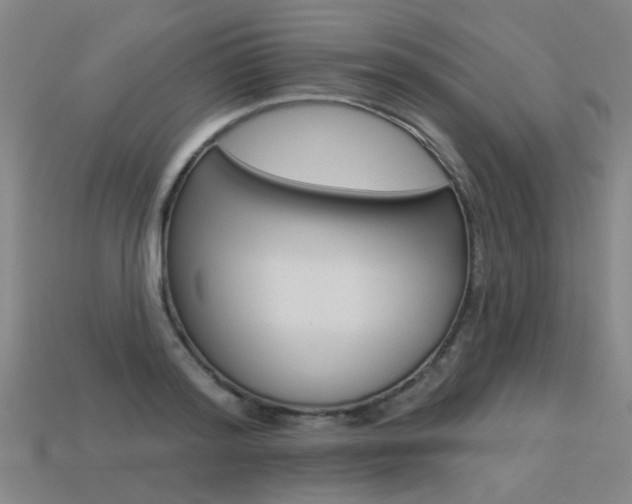 X0000113550796200909180958