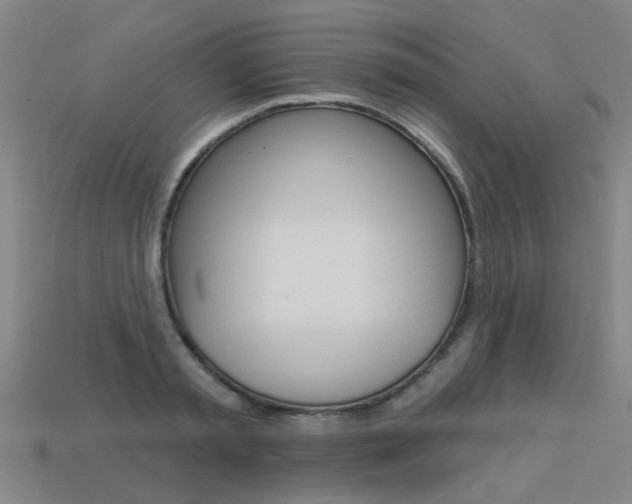 X0000113550797200909180958