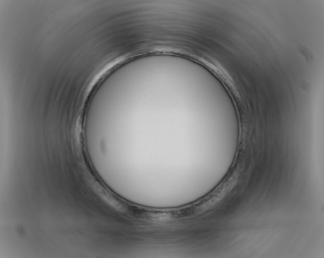 X0000113550798200909180958