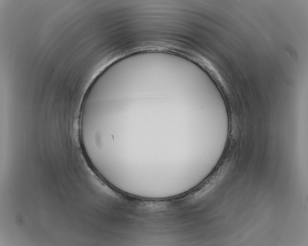 X0000113550802200909180958