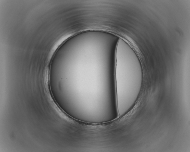 X0000113550804200909180958