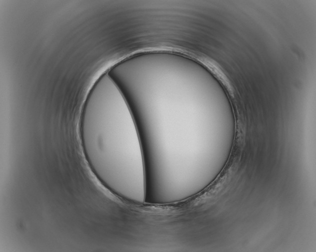 X0000113550805200909180958