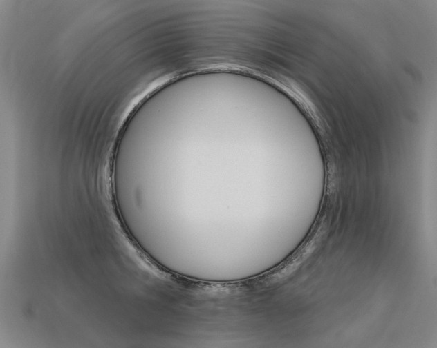 X0000113550806200909180958