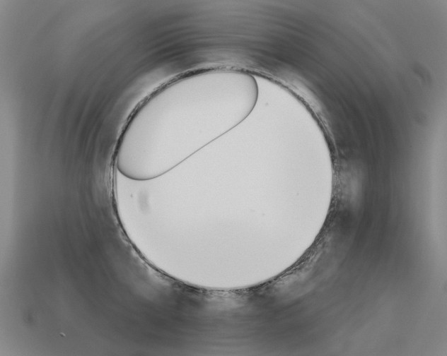 X0000113550807200909180958