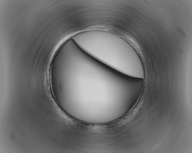X0000113550808200909180958