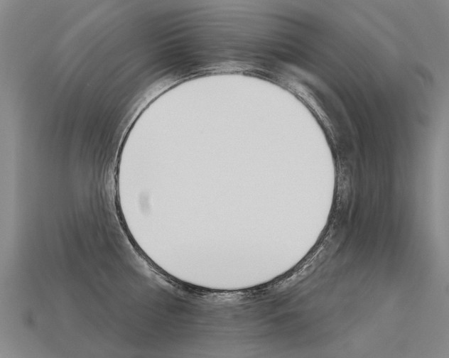 X0000113550810200909180958