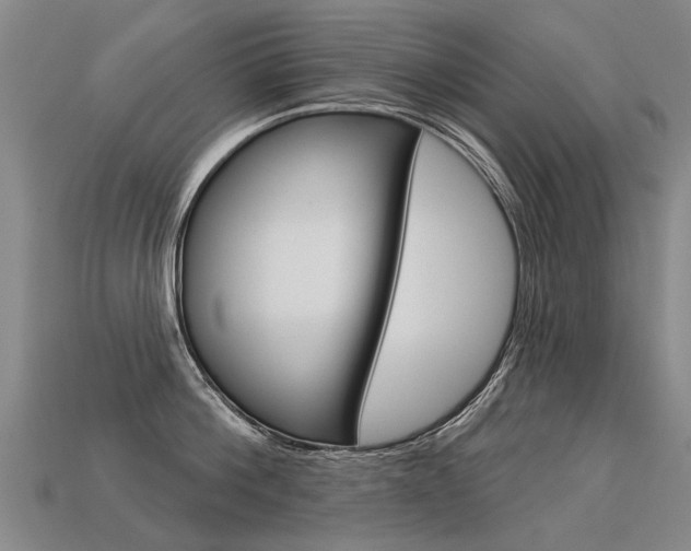 X0000113550812200909180958