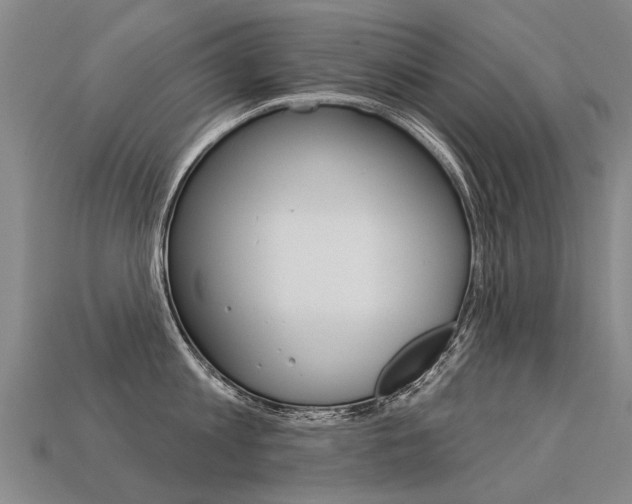 X0000113550813200909180958