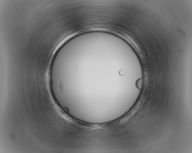 X0000113550814200909180958