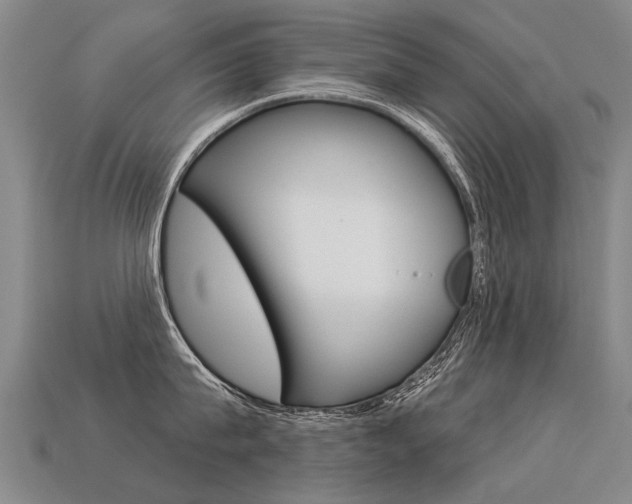 X0000113550815200909180958