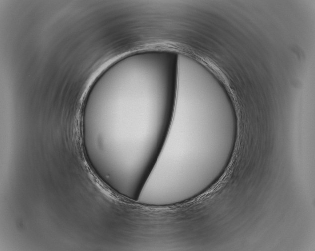 X0000113550816200909180958
