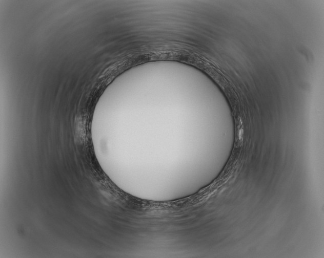 X0000113550819200909180957