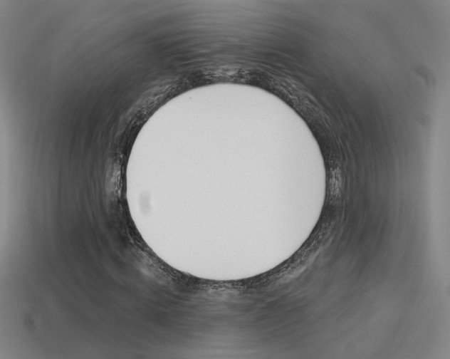 X0000113550820200909180957