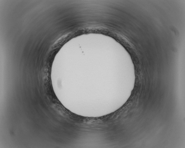 X0000113550824200909180957