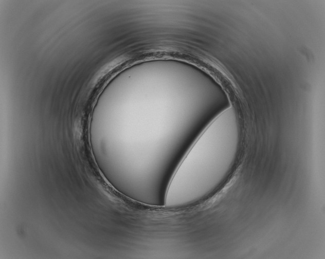 X0000113550826200909180957