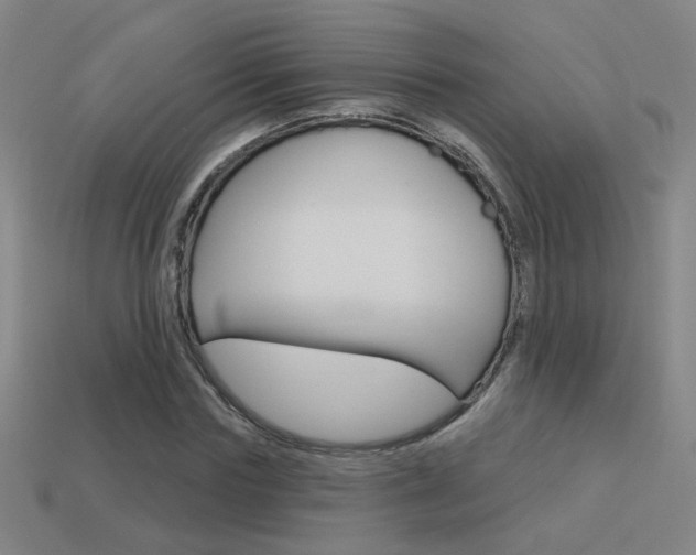 X0000113550827200909180957