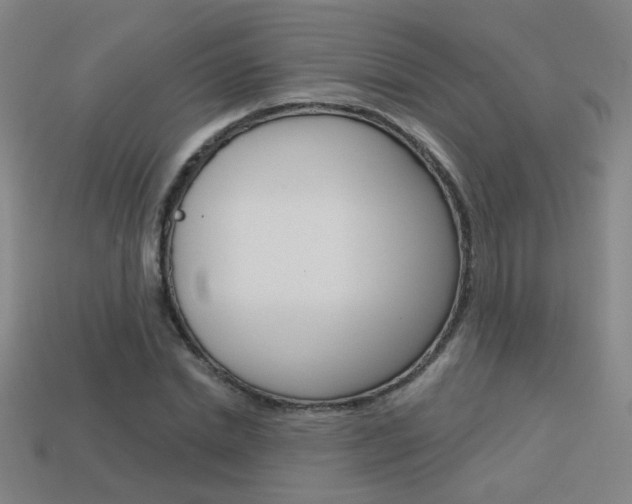 X0000113550830200909180957