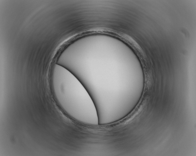 X0000113550831200909180957