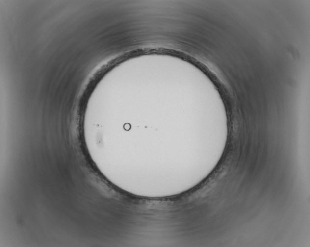 X0000113550832200909180957