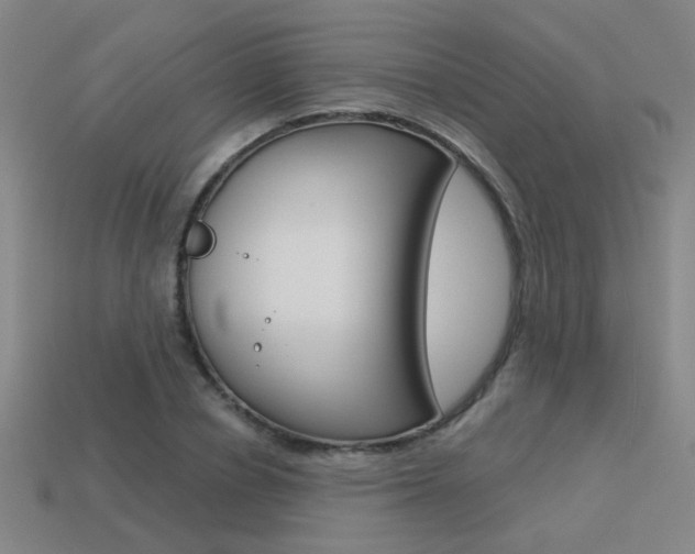 X0000113550834200909180957