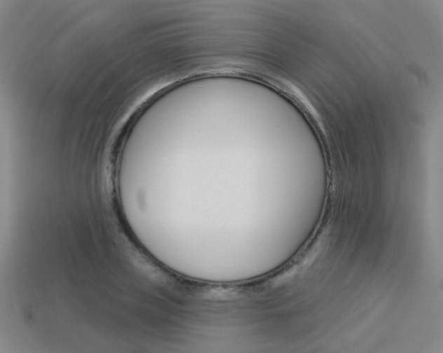 X0000113550835200909180957