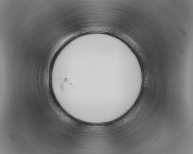 X0000113550836200909180957