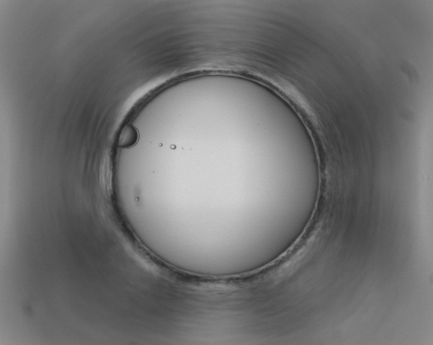 X0000113550838200909180957