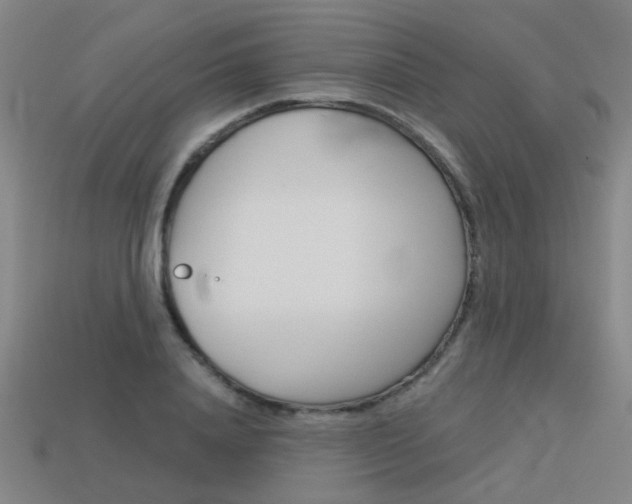 X0000113550840200909180957