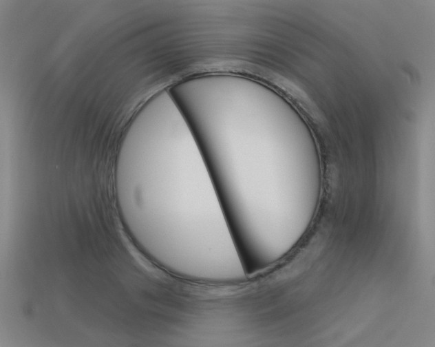 X0000113550841200909180957
