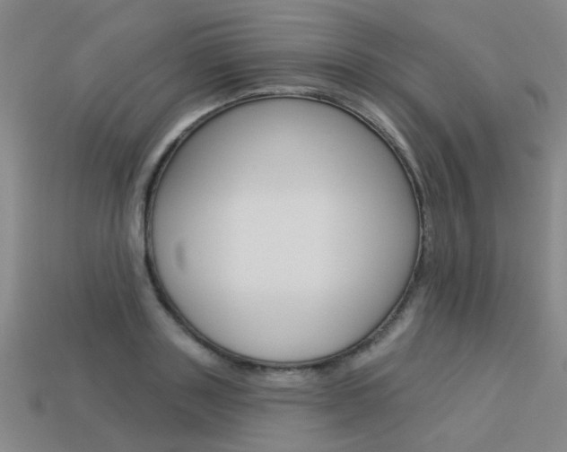 X0000113550843200909180957