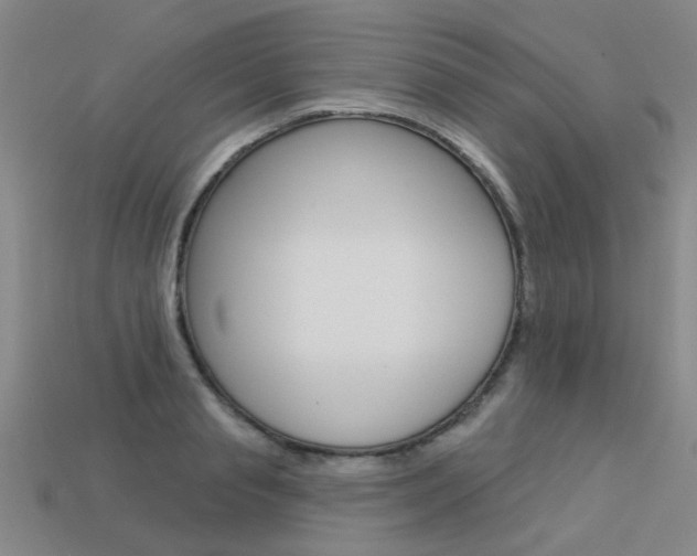 X0000113550845200909180957